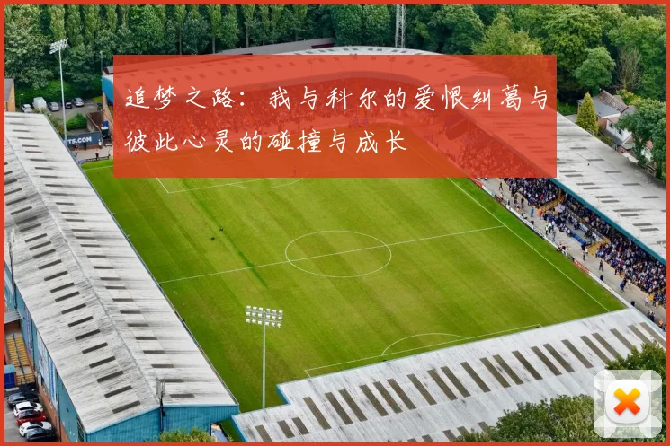 追梦之路：我与科尔的爱恨纠葛与彼此心灵的碰撞与成长