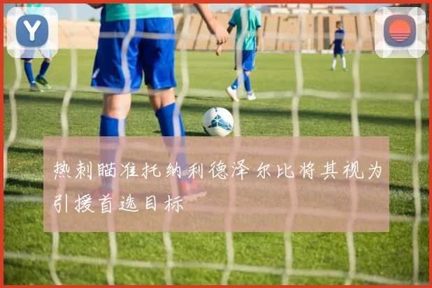 热刺瞄准托纳利德泽尔比将其视为引援首选目标